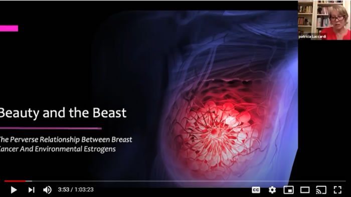 Beauty and the Beast - The Perverse Relationship Between Breast Cancer and Environmental Estrogens